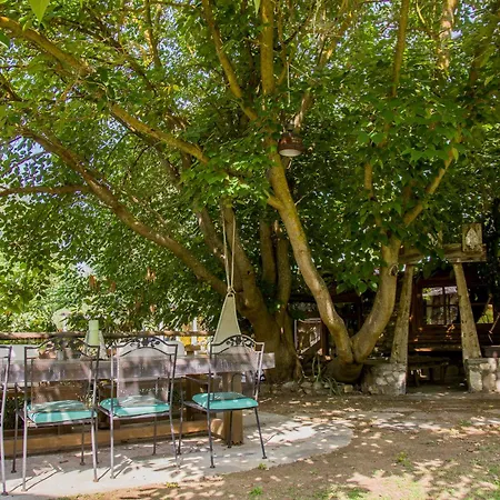 Casa vacanze Artemis Goddess Nest - Aquatic Getaway